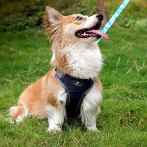 Alternative view of Szelki treningowe spacerowe dla psa ASTRO granatowe rozmiar S