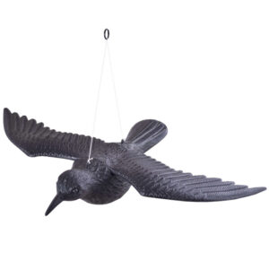 Alternative view of Kruk w locie - odstraszacz gołębi i innych ptaków