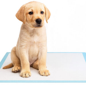 Alternative view of Podkłady higieniczne dla zwierząt BARRY 50 szt.